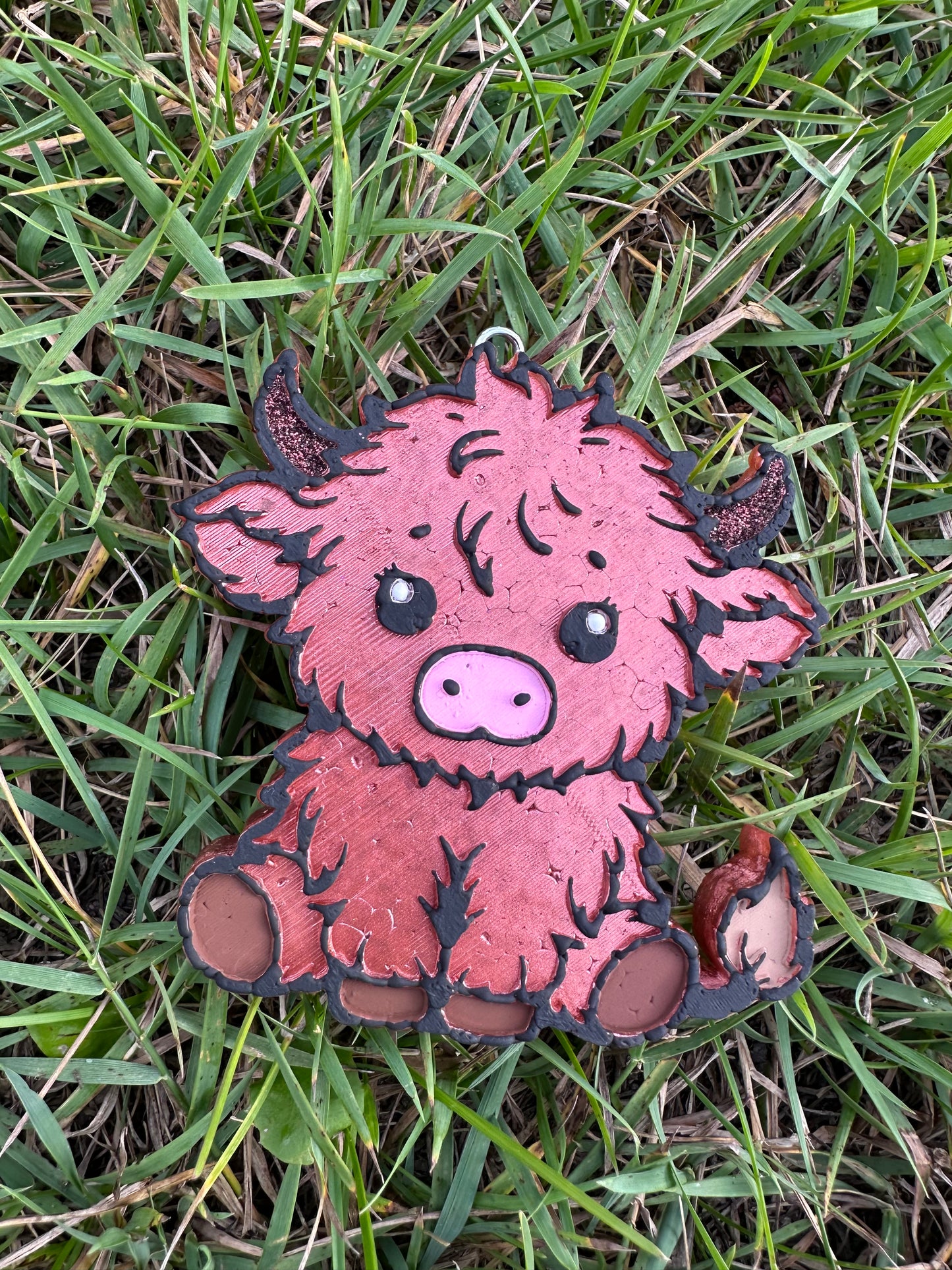 Highland Baby moo